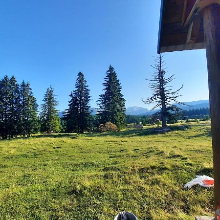 Etno House Momcilo Villa Žabljak Eksteriør billede