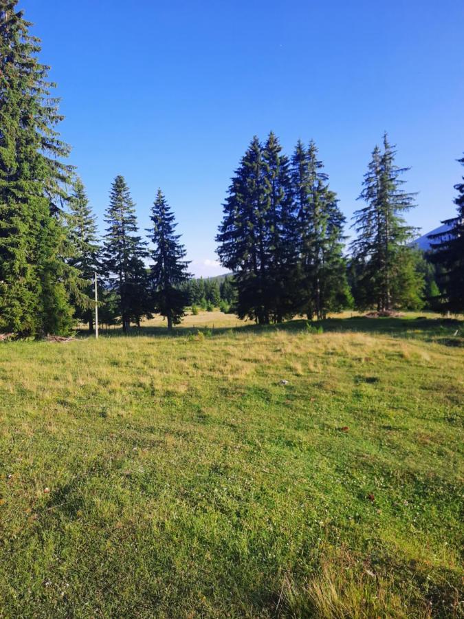 Etno House Momcilo Villa Žabljak Eksteriør billede