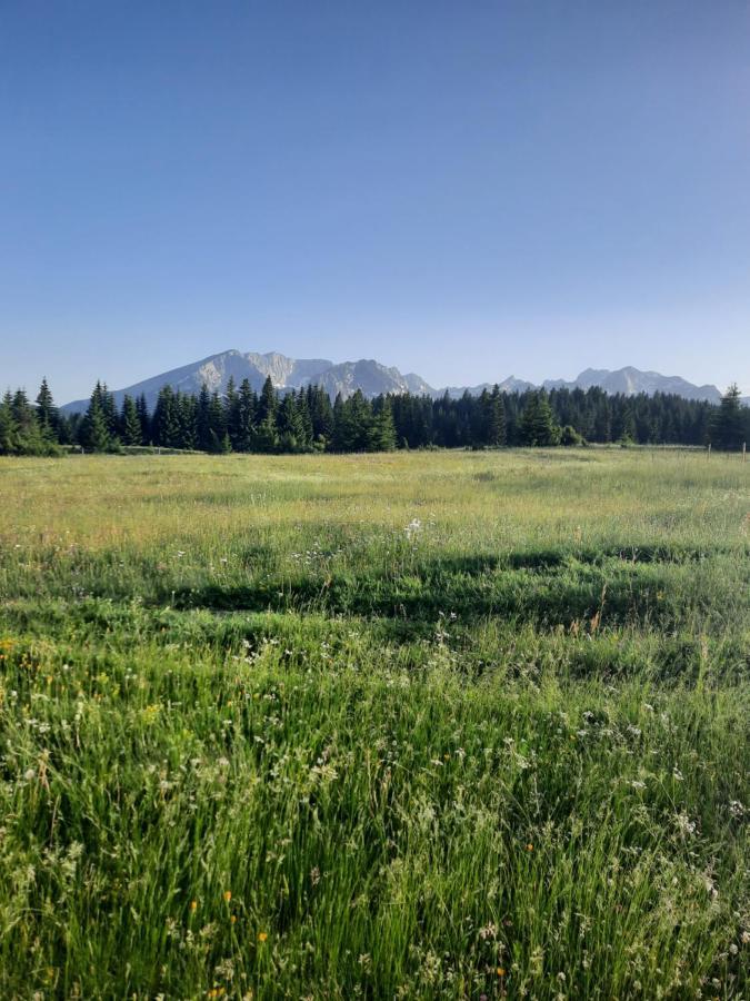 Etno House Momcilo Villa Žabljak Eksteriør billede